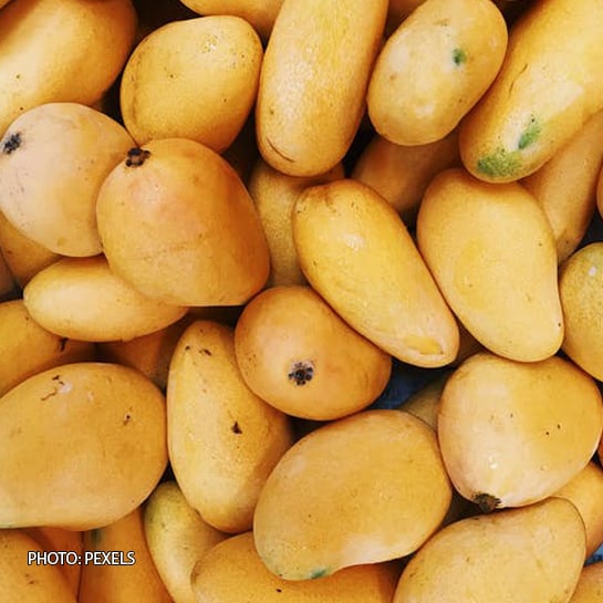 Here's All You Need To Know About The King of Fruits Mangoes! Food
